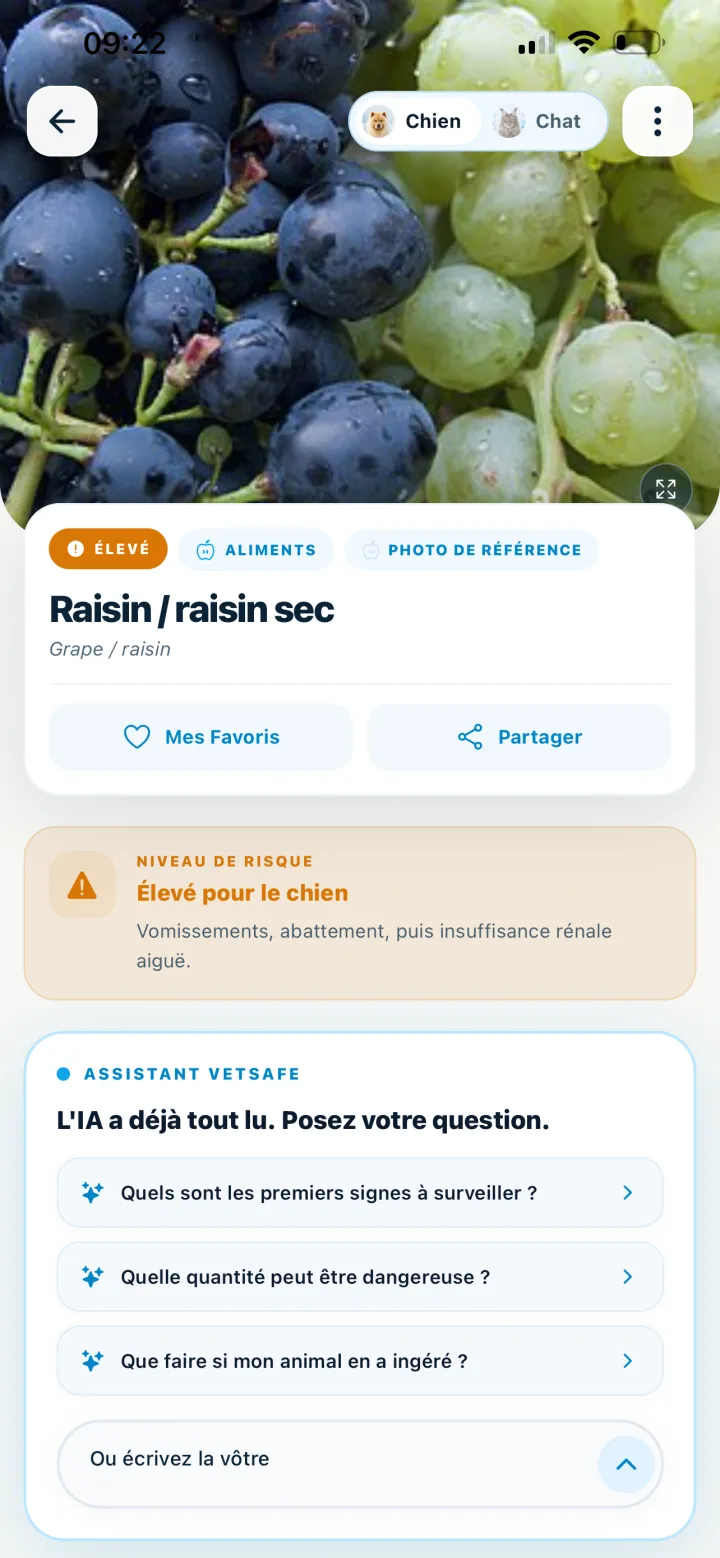 Fiche danger raisin dans VetSafe avec niveau de risque pour le chien