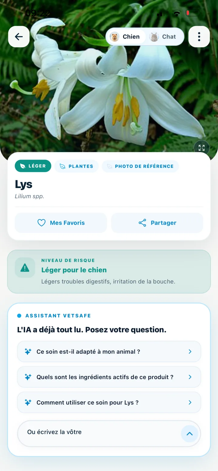 Fiche lys dans VetSafe avec niveau de risque pour le chien