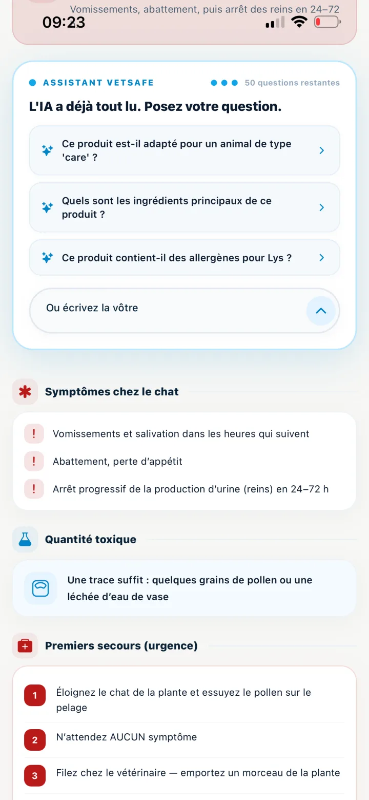 Symptômes et premiers secours VetSafe pour le chat exposé au lys