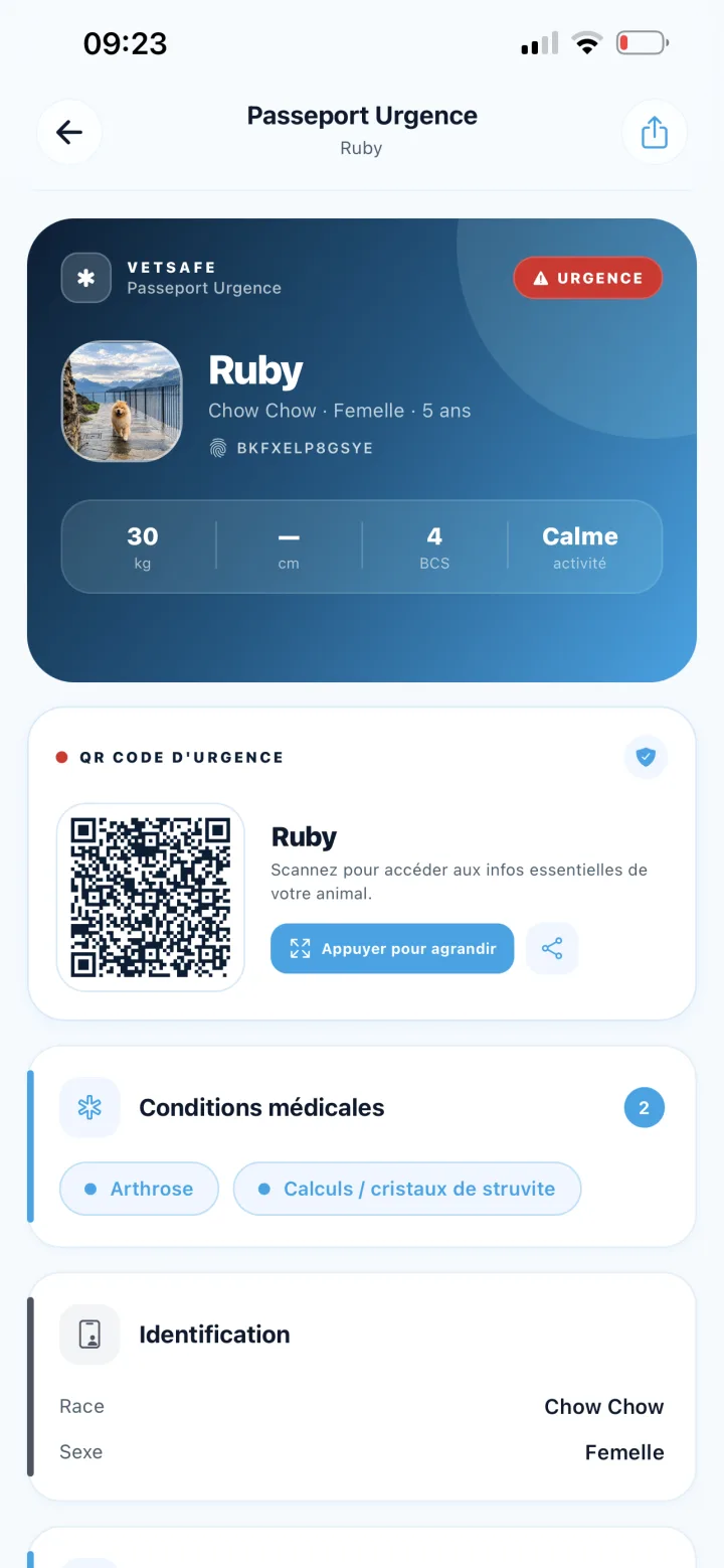 Passeport d'urgence VetSafe avec QR code et informations médicales