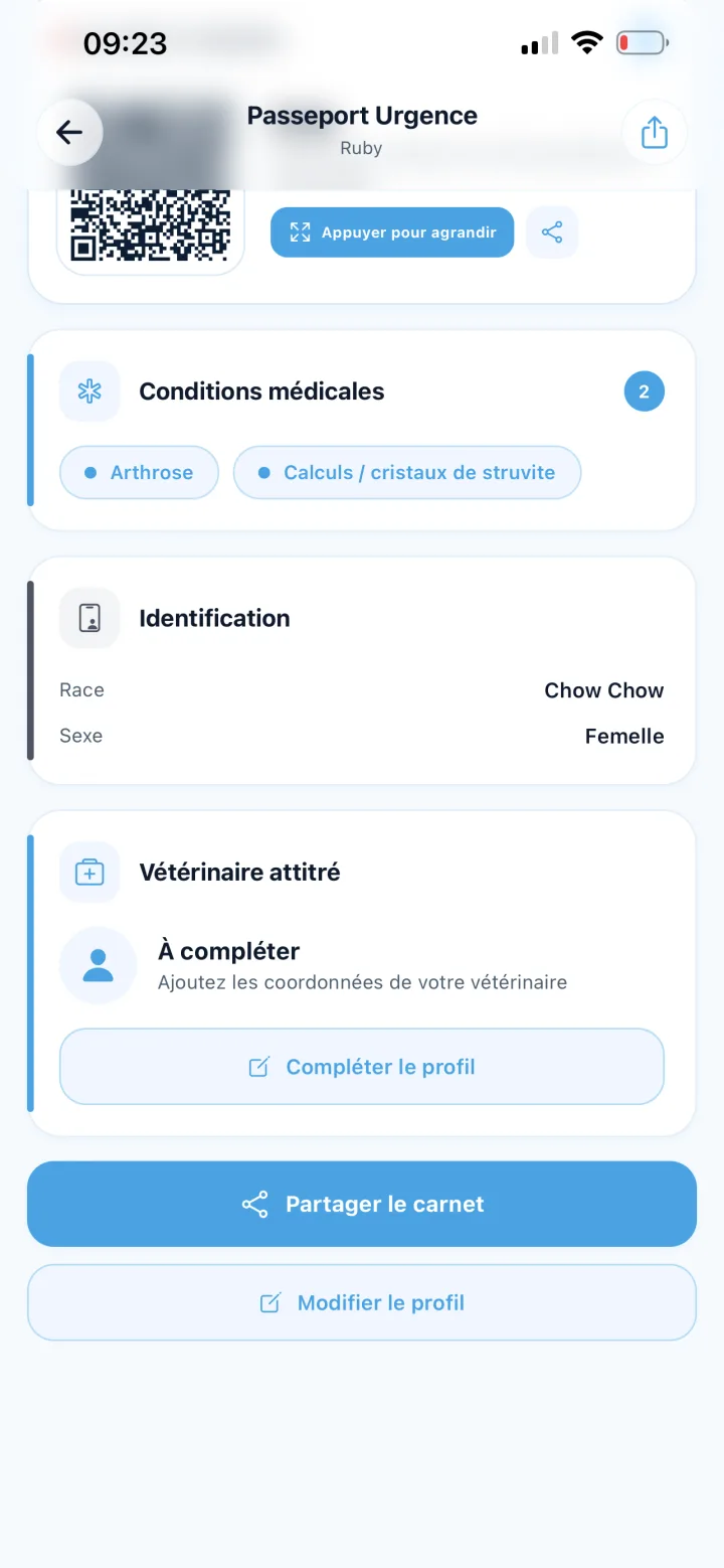 Dossier animal VetSafe avec informations de santé utiles